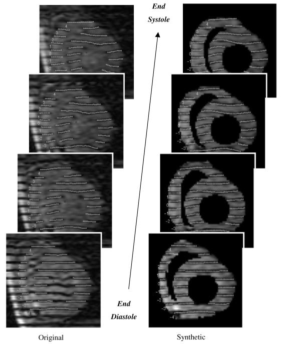 Figure 12