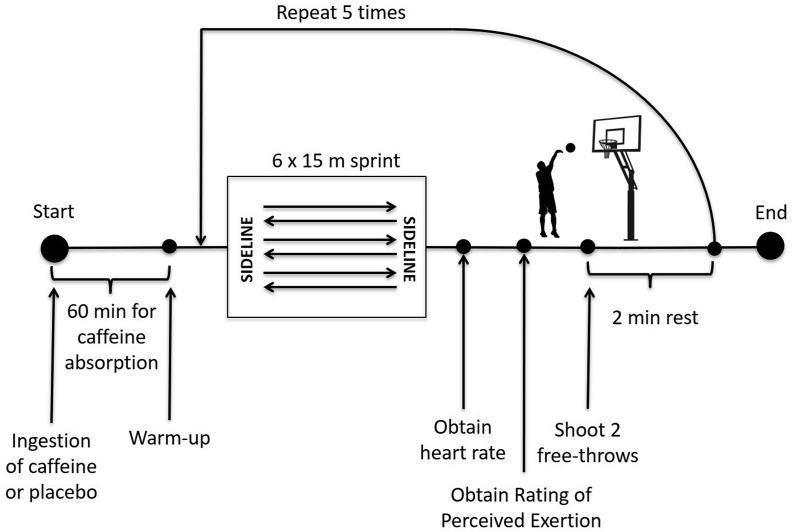 Fig. 1