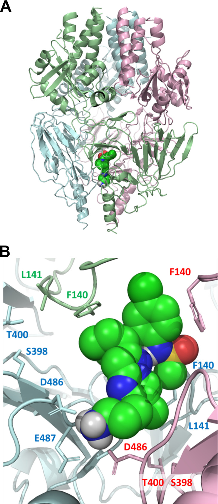 FIG 1