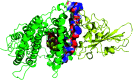 Fig. 13