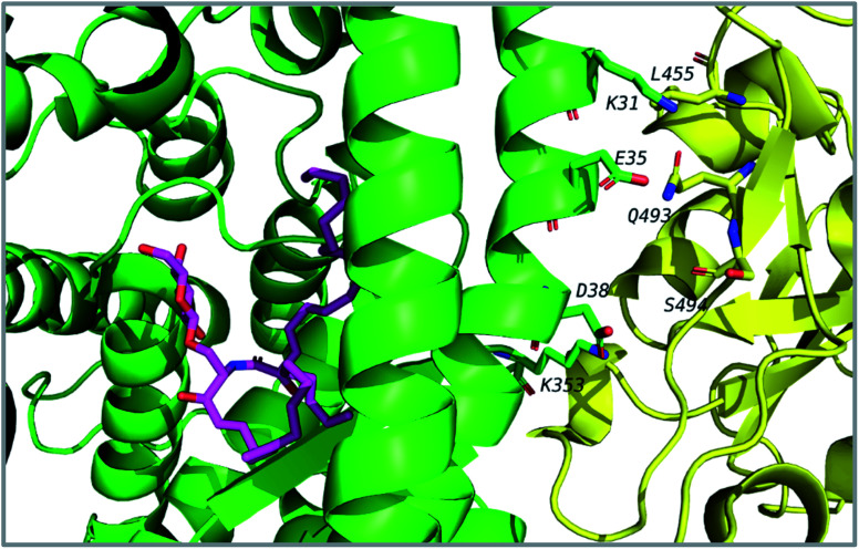 Fig. 14