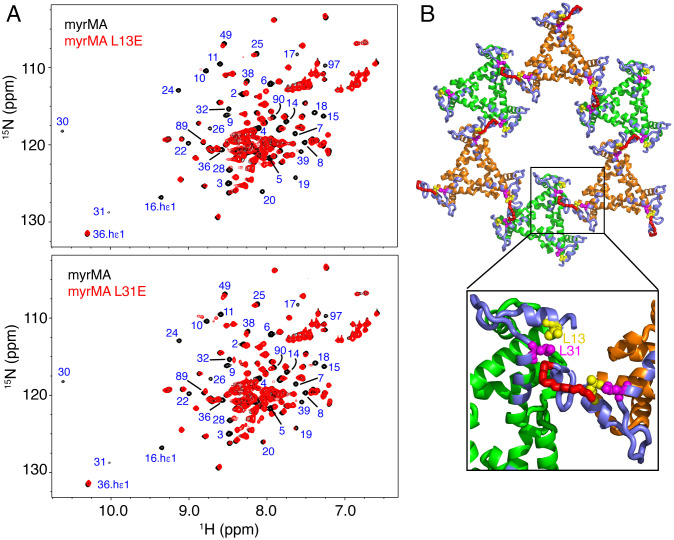 Fig. 4.