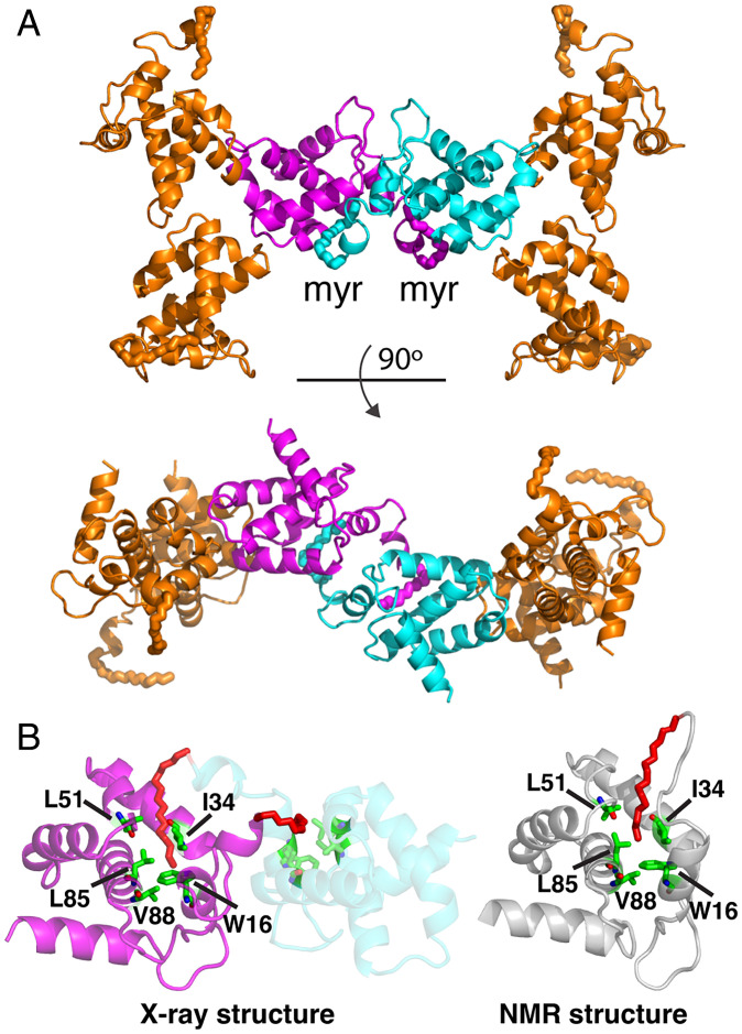 Fig. 2.