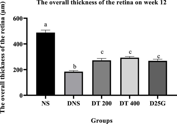 FIGURE 13