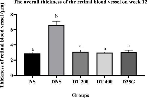 FIGURE 12