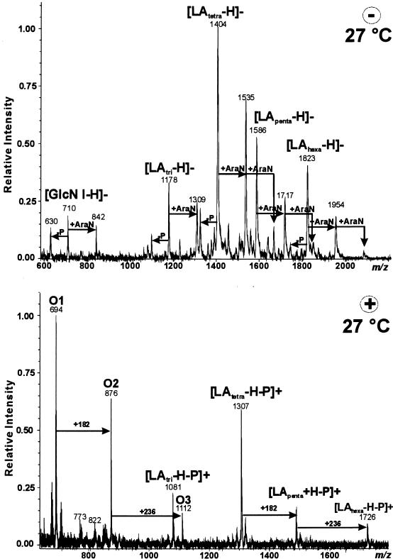 FIG. 2.