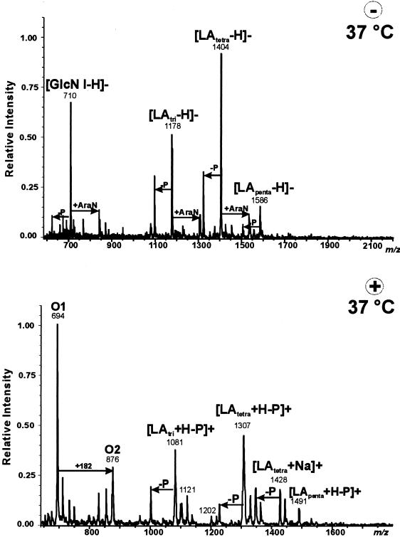 FIG. 3.