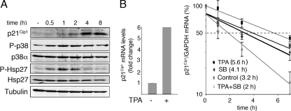 FIG. 7.