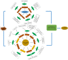 Figure 6.