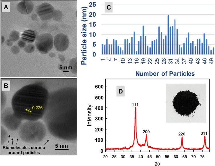 Figure 4