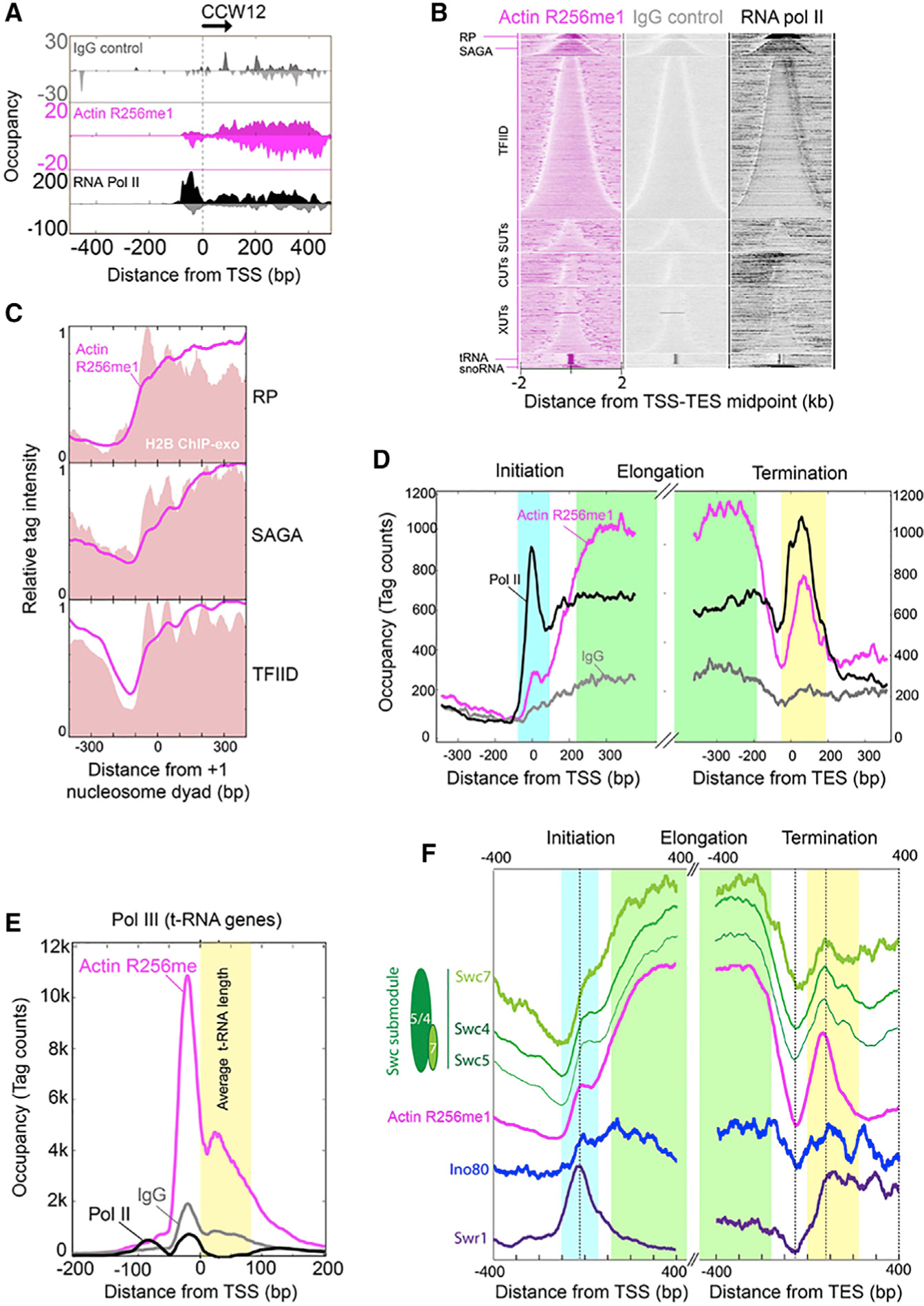 Figure 4.