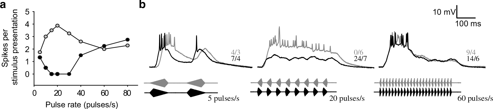 Fig. 12