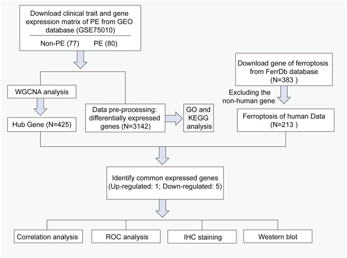 FIGURE 1