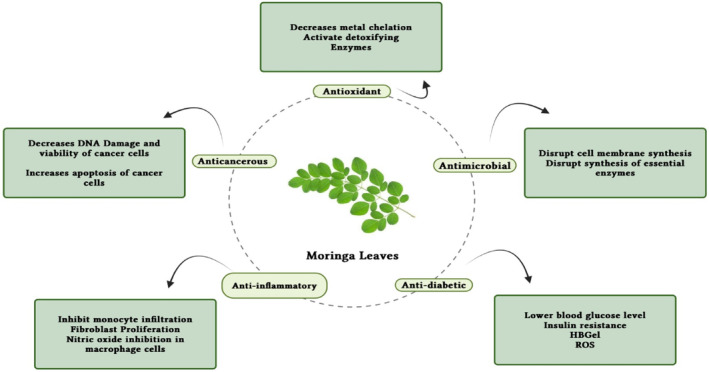 FIGURE 4