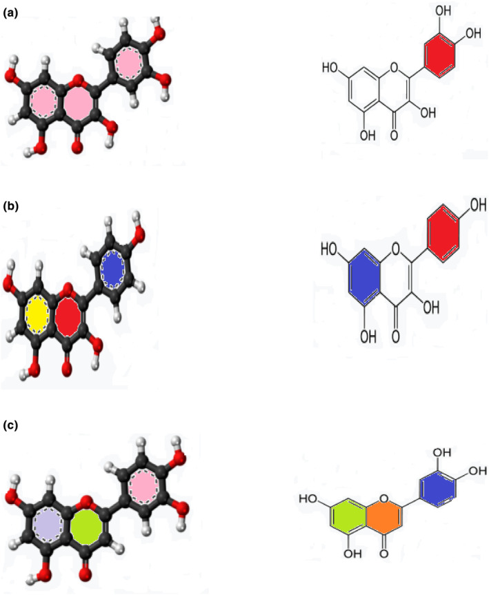 FIGURE 3