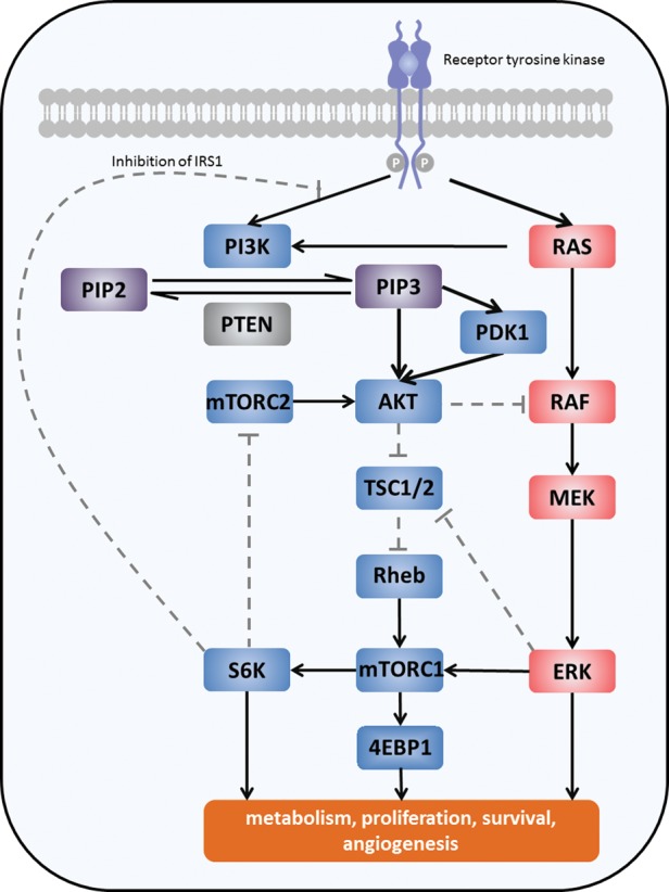 Fig. 1.