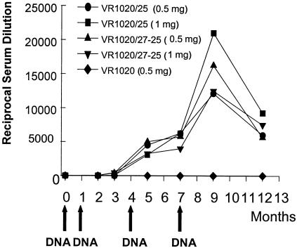 FIG. 1.