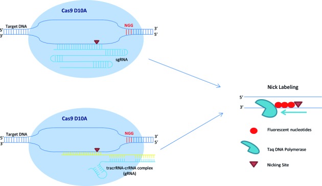 Figure 2.