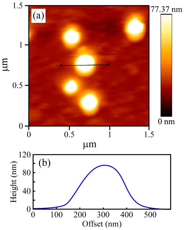 Figure 5