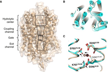 Fig. 1