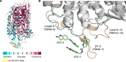 Fig. 6