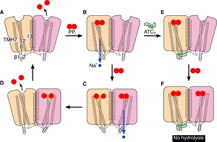 Fig. 7