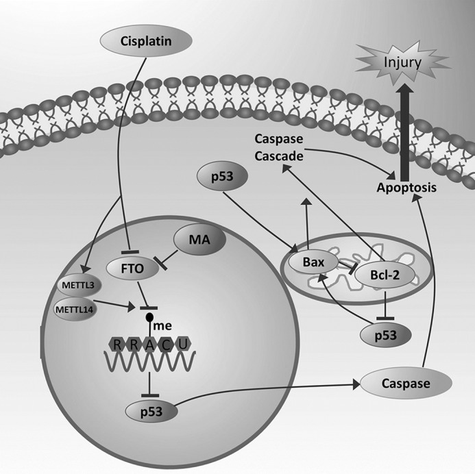 Figure 10.