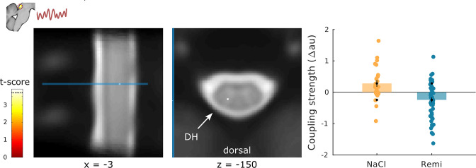 Figure 7—figure supplement 2.