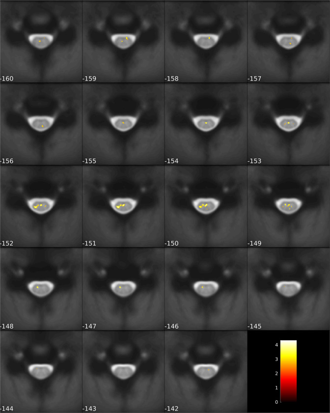 Figure 3—figure supplement 1.