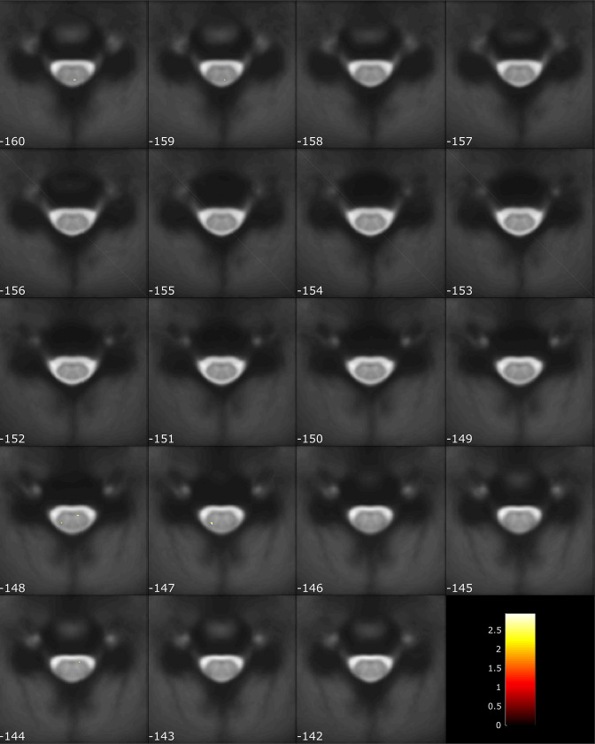 Figure 2—figure supplement 2.