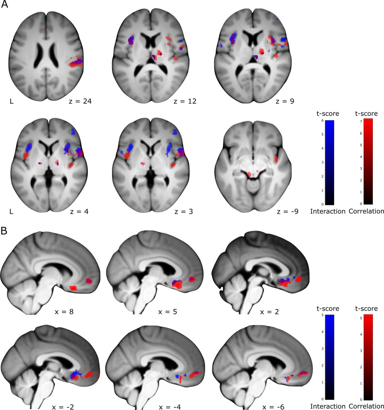 Figure 5—figure supplement 1.