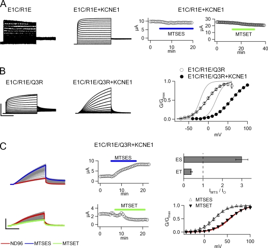 Figure 7.