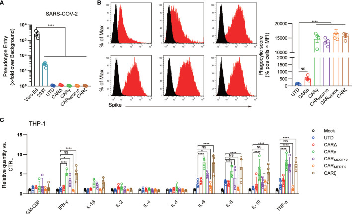 Figure 2