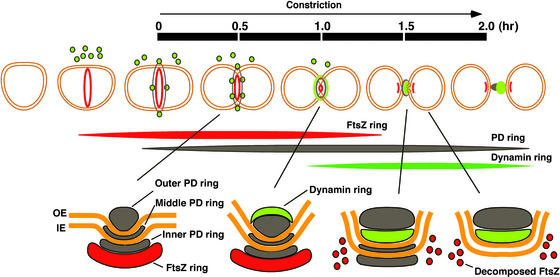 Figure 6.