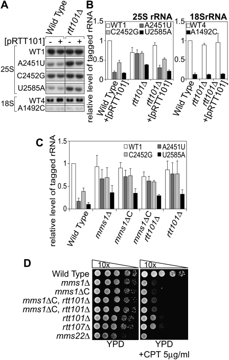 Figure 5.