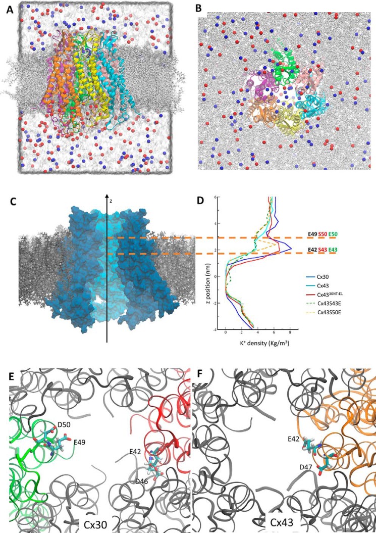 Figure 6.