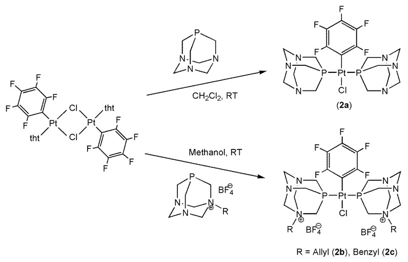 Scheme 2