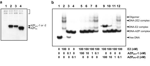 FIG. 5.