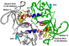 FIGURE 11