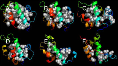 Figure 15