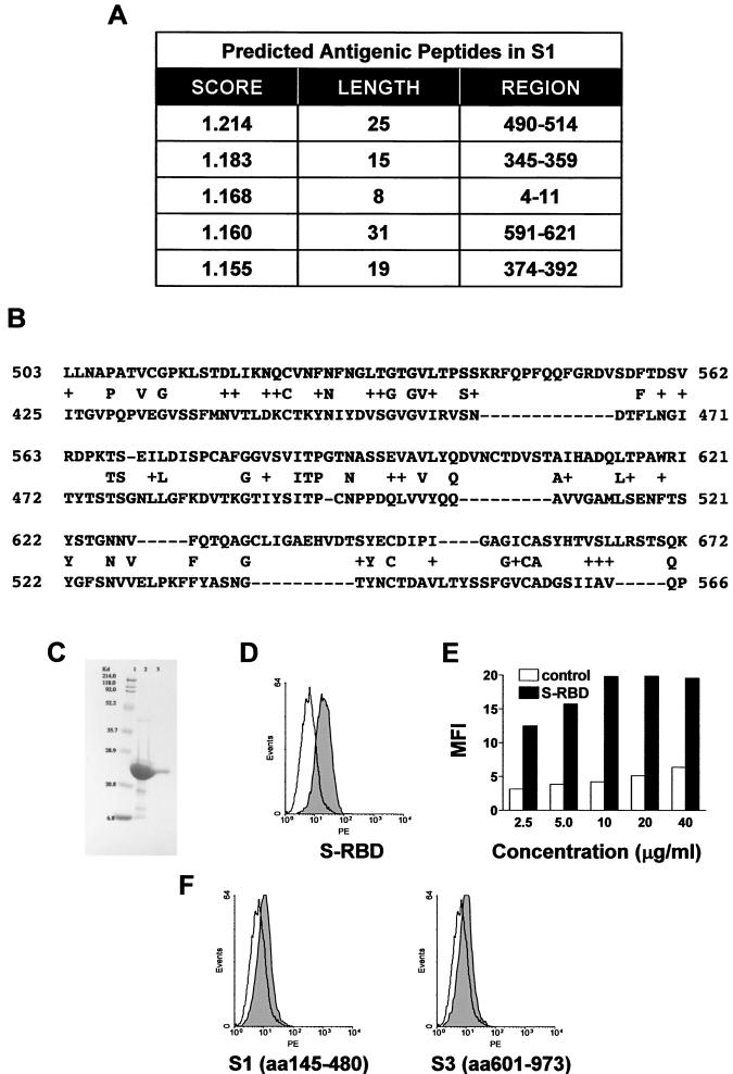 FIG.1.