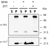 FIG. 8.