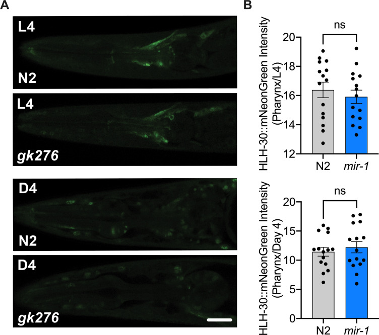 Figure 4—figure supplement 1.