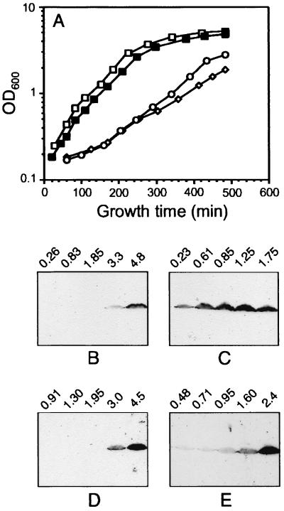 FIG. 1