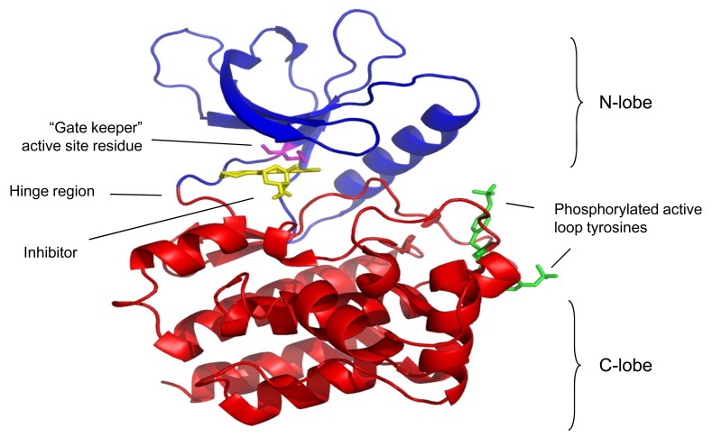 Fig. (2)