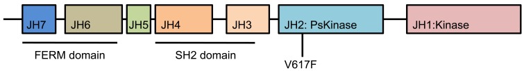 Fig. (1)