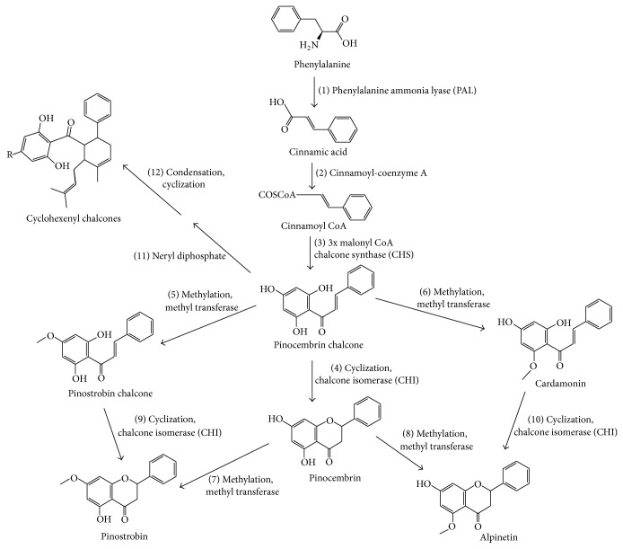 Figure 4