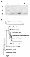 FIG. 5.