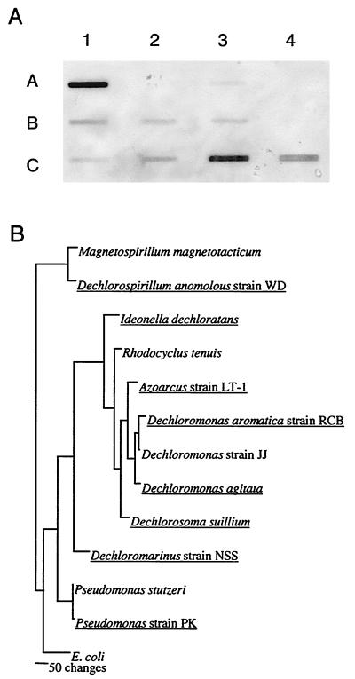 FIG. 5.