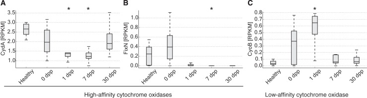 FIG 4 